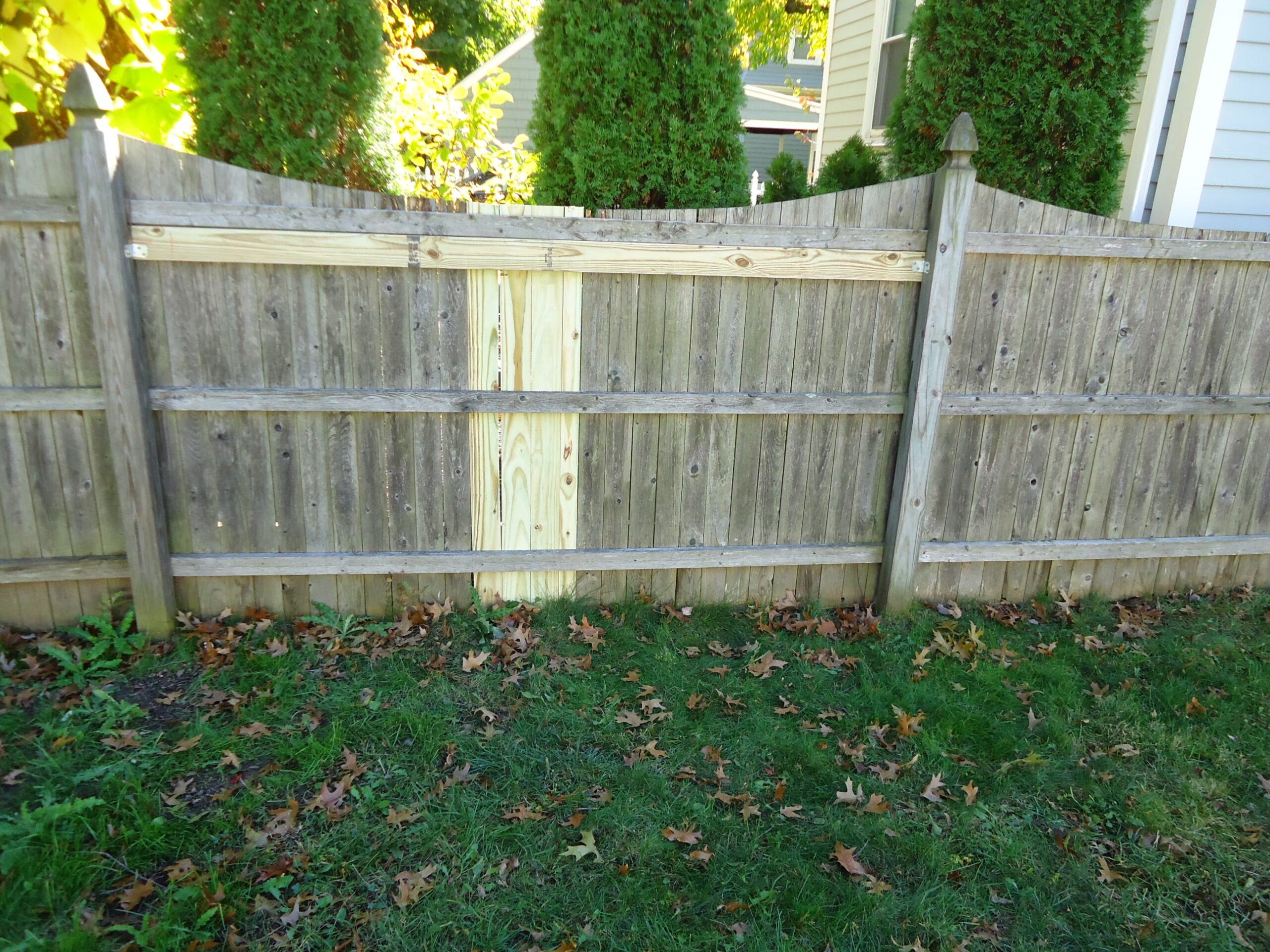 Fencing Repair