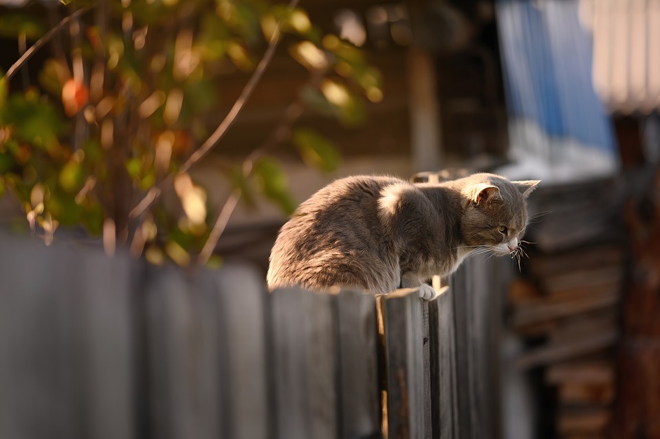 wood fence installation